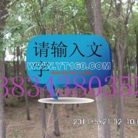 國槐