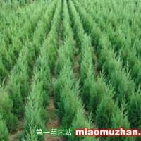 蜀儈