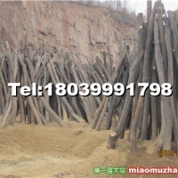 北欒