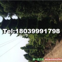 塔造型