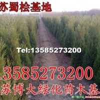 蜀檜