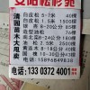 白皮松，油松造型松