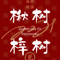 四公分梓樹