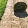 剪股穎草坪