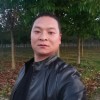 七葉樹