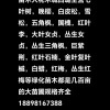 七葉樹