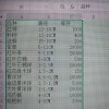 雞爪槭，紫薇，紅葉李